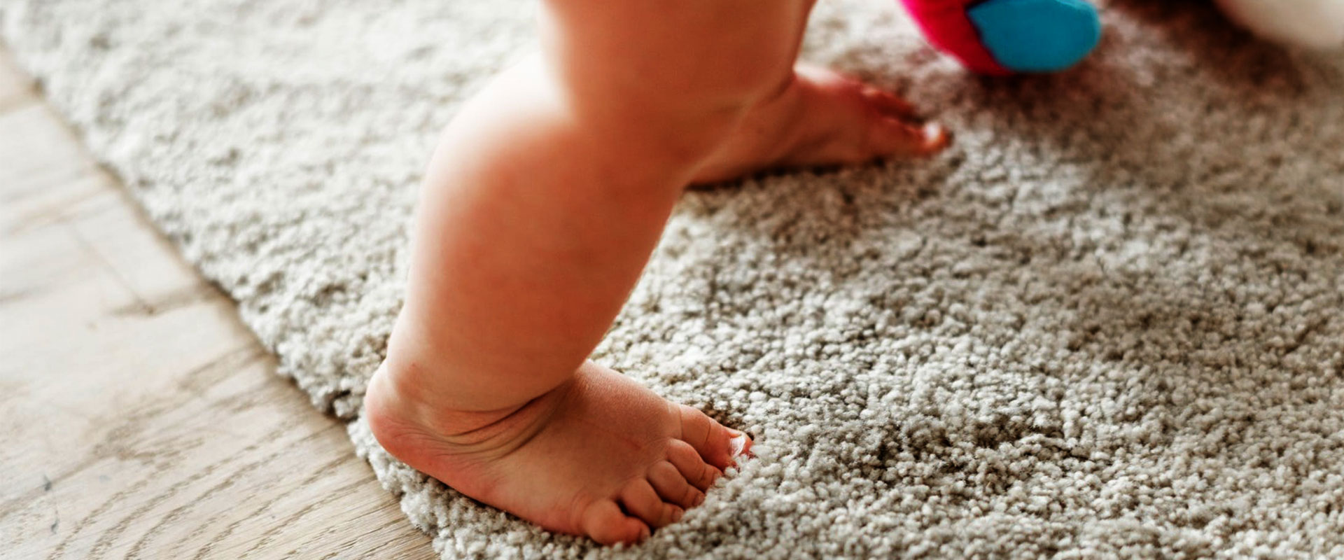 İkizler Halı Yıkama Tesisi